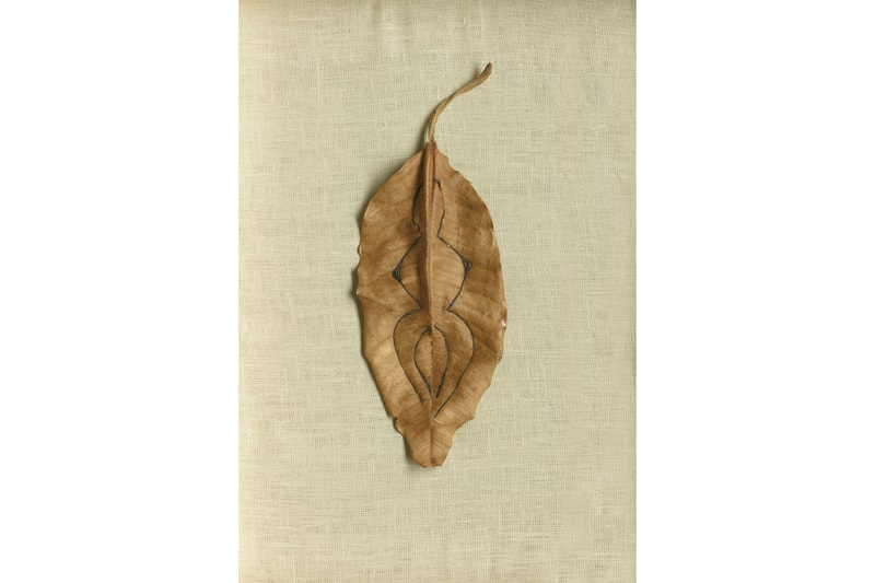 Tate Modern Ana Mendieta Art Artworks Retrospective London 2026