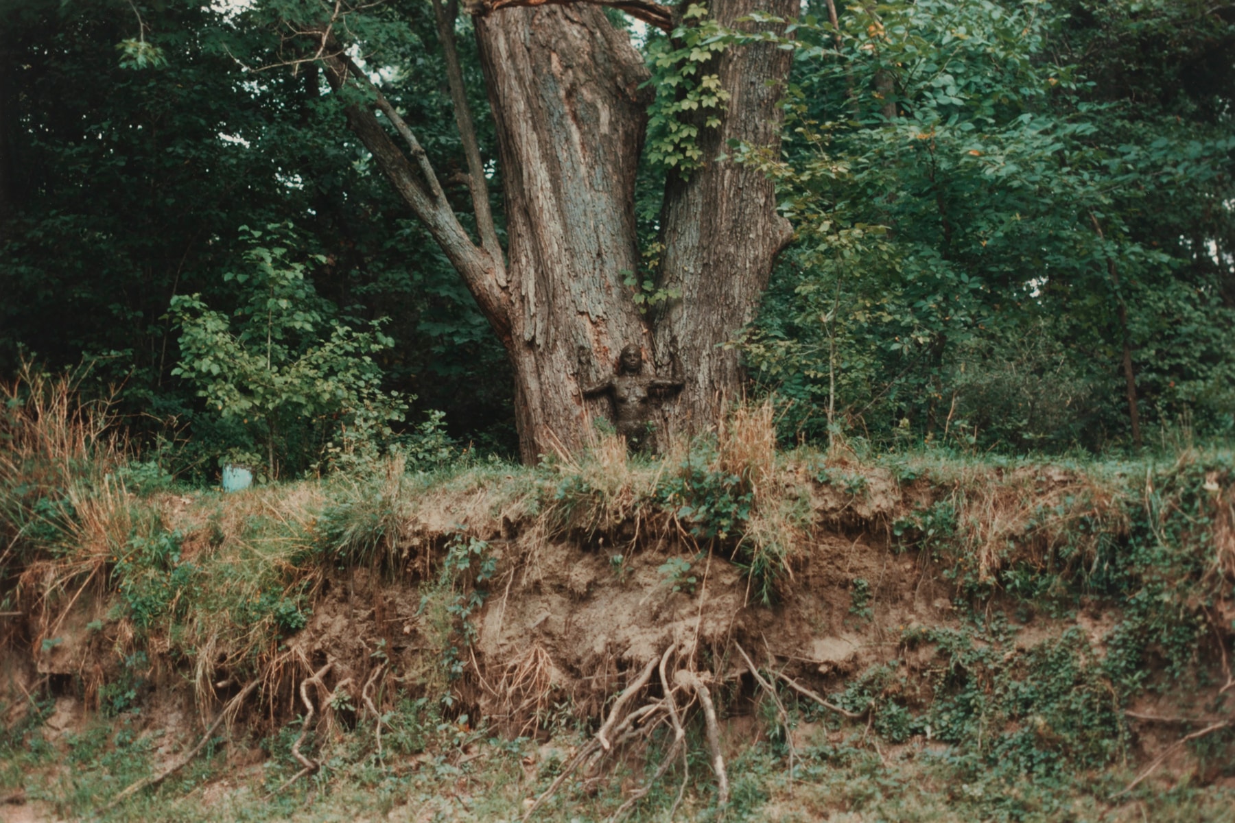 Tate Modern Ana Mendieta Art Artworks Retrospective London 2026