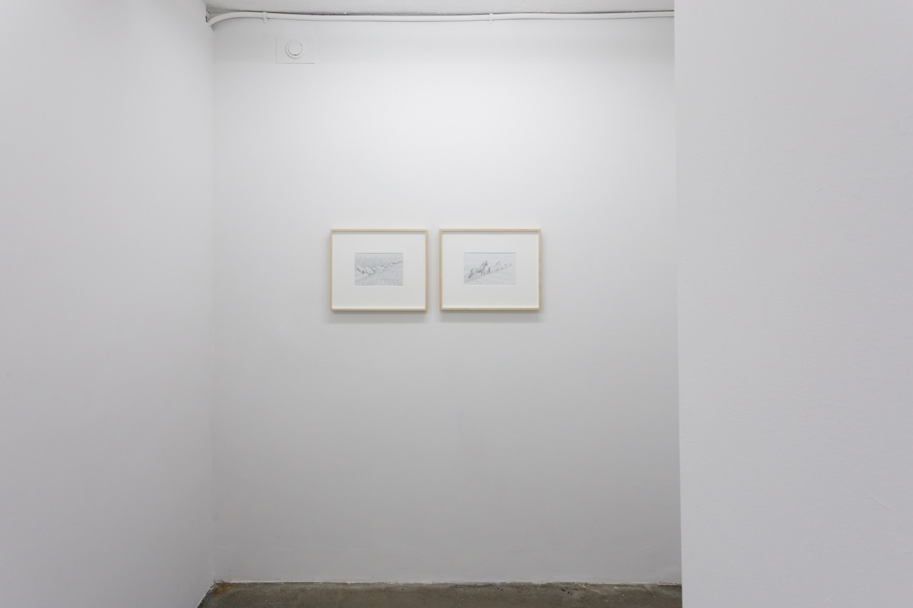 geoff mcfetridge grasslands cooper cole gallery paintings artworks alex colville 