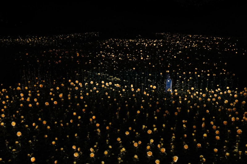 teamLab New Artwork Small Sun Flickering in the Dark Botanical Garden Osaka Info