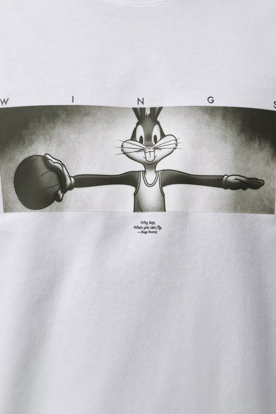 Jordan Brand Celebrates 30 Years of 'Space Jam' With New Apparel Lineup michael jordan looney tunes Bugs Bunny, Tasmanian Devil, and Yosemite sam