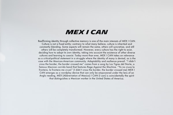 andy medina mex i can john doe gallery artworks art exhibition contemporary