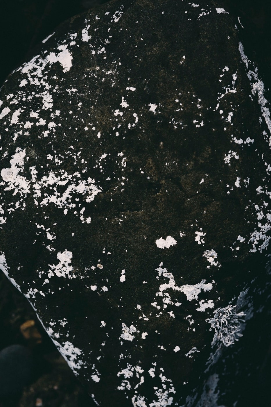 and wander Fall/Winter 2026 Collection Lookbook Release Info 