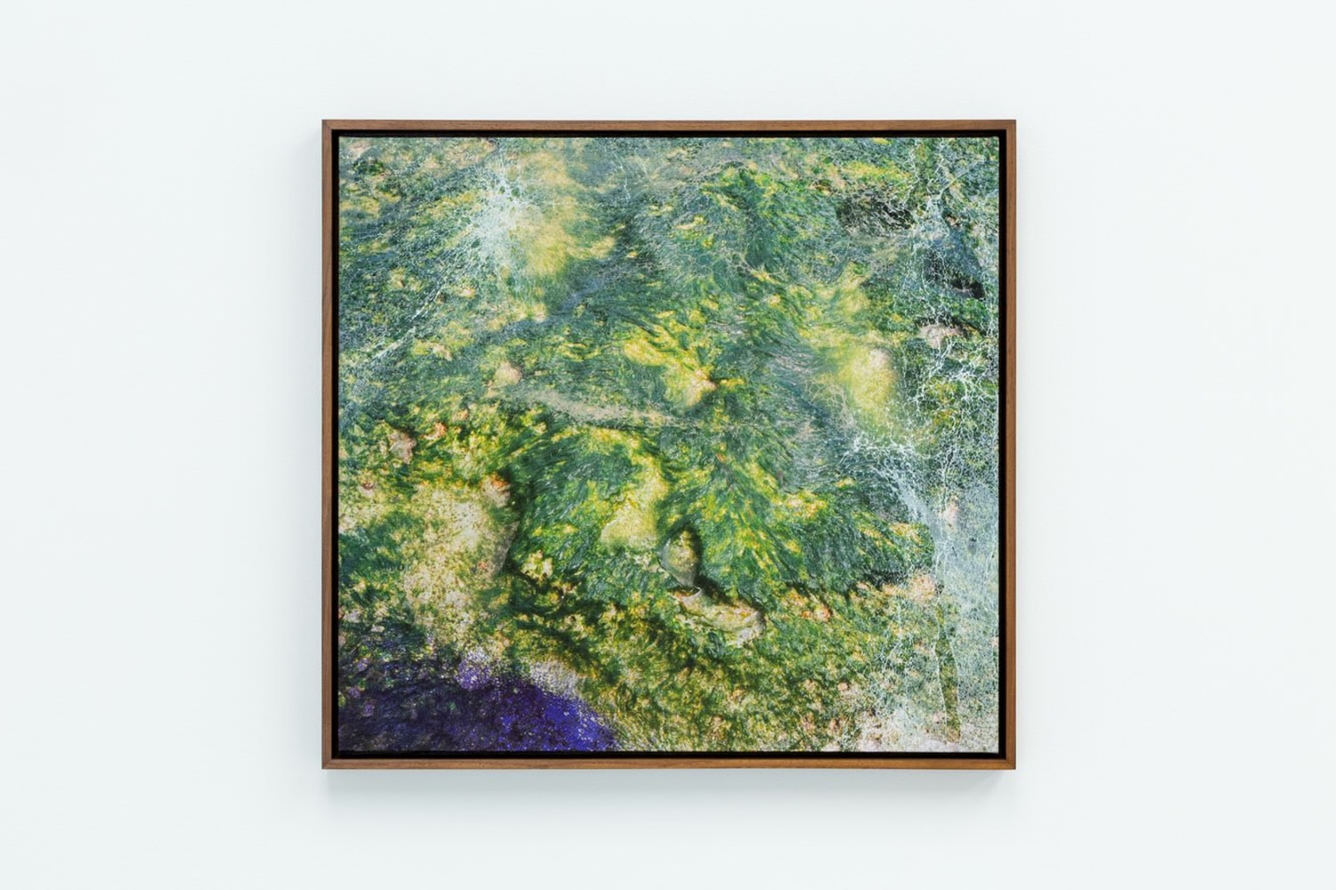 VERDY In Good Company Group Exhitbition GYRE Gallery Tokyo Paulo Calle Art Artworks
