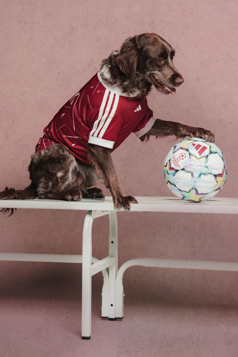 adidas Originals FC Pets Collection Soccer Club Football 26/27 Jerseys Release Info 