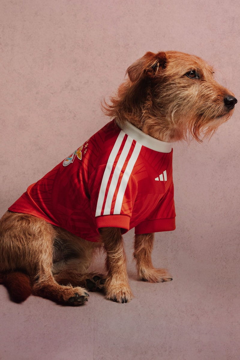 adidas Originals FC Pets Collection Soccer Club Football 26/27 Jerseys Release Info 
