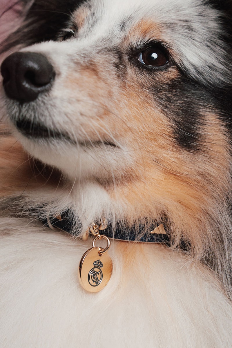 adidas Originals FC Pets Collection Soccer Club Football 26/27 Jerseys Release Info 
