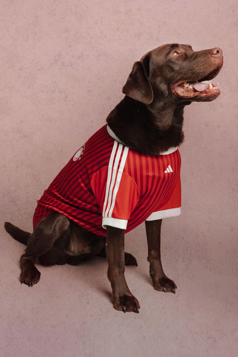 adidas Originals FC Pets Collection Soccer Club Football 26/27 Jerseys Release Info 