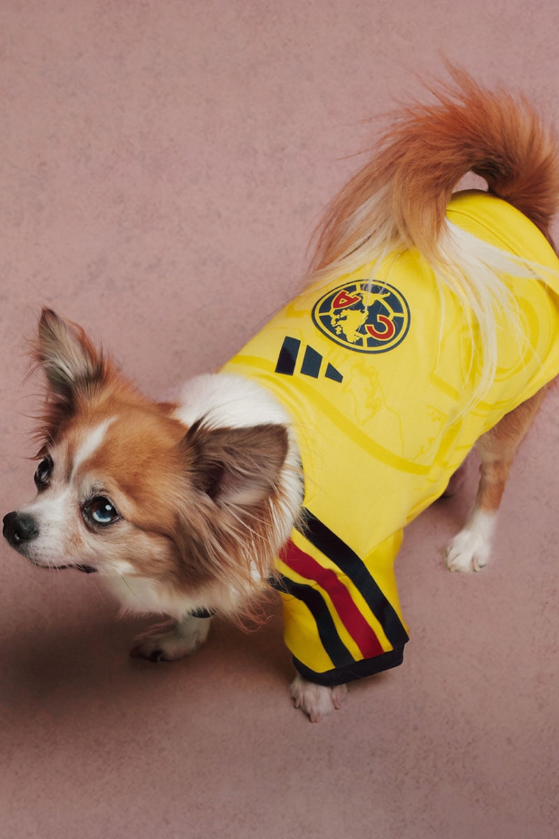 adidas Originals FC Pets Collection Soccer Club Football 26/27 Jerseys Release Info 