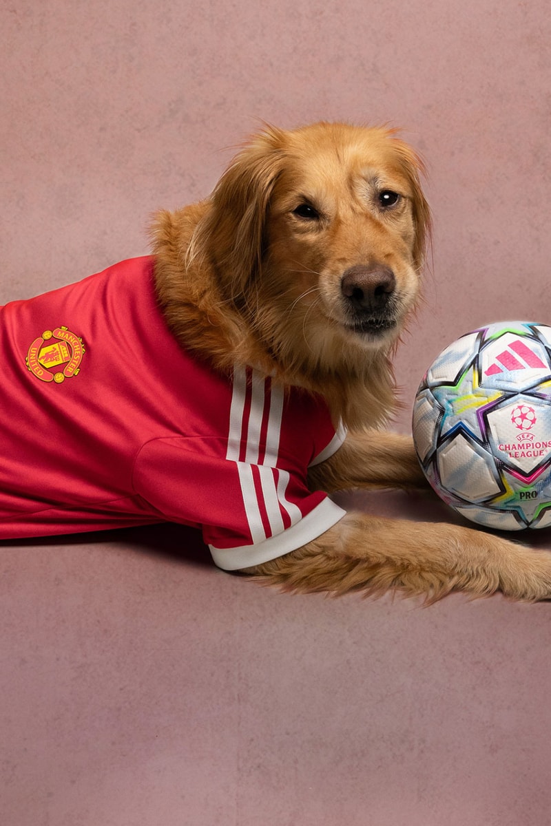 adidas Originals FC Pets Collection Soccer Club Football 26/27 Jerseys Release Info 