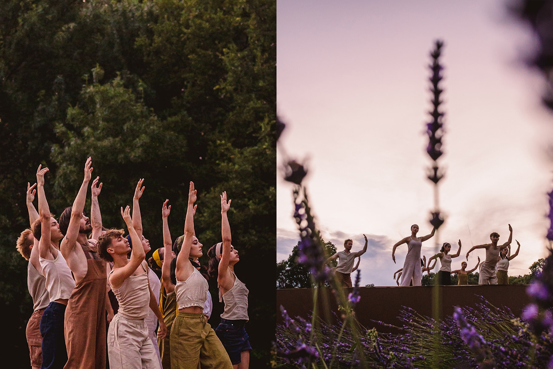 l'occitane en provence angelin prejlocaj ballet france one-off performance beauty skincare lavendar showcase oliver baussan one simple gesture