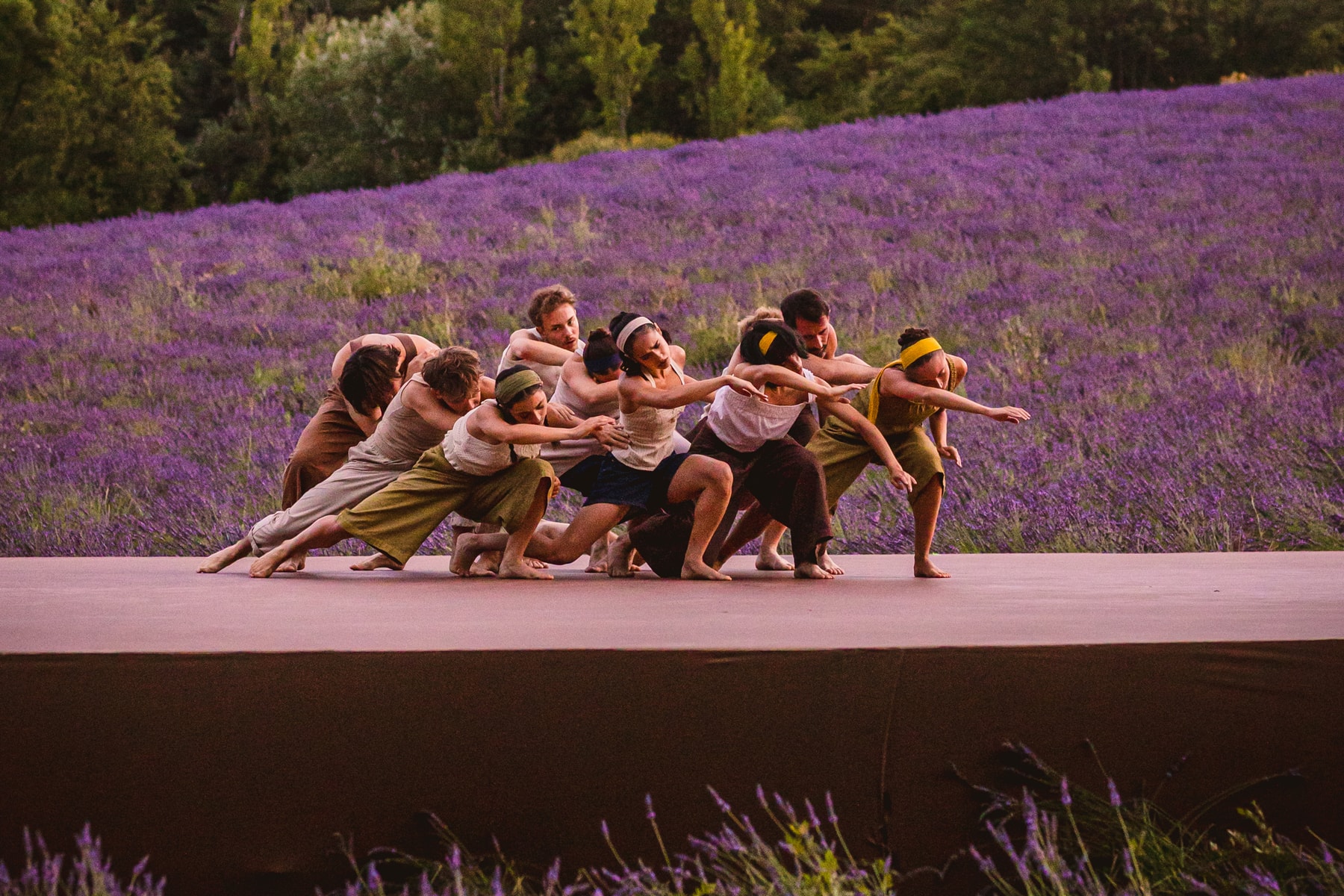 l'occitane en provence angelin prejlocaj ballet france one-off performance beauty skincare lavendar showcase oliver baussan one simple gesture