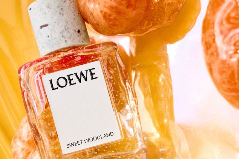 Loewe Perfumes crafted Field Diary Sweet Woodland Rosetopia Smoky Rain Verdant Grove Iris Root Release Info