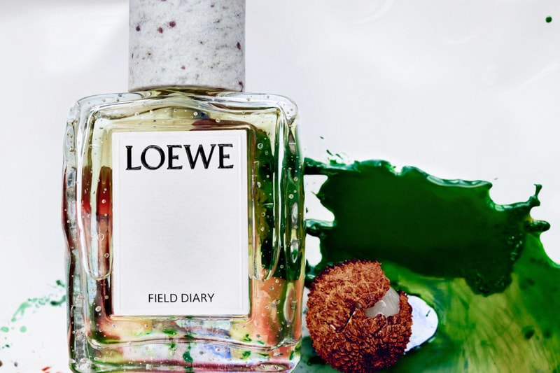 Loewe Perfumes crafted Field Diary Sweet Woodland Rosetopia Smoky Rain Verdant Grove Iris Root Release Info