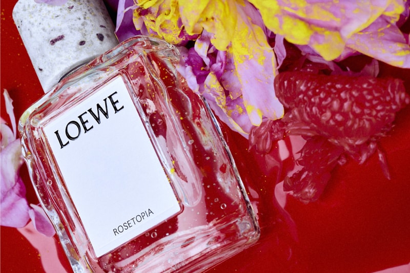 Loewe Perfumes crafted Field Diary Sweet Woodland Rosetopia Smoky Rain Verdant Grove Iris Root Release Info