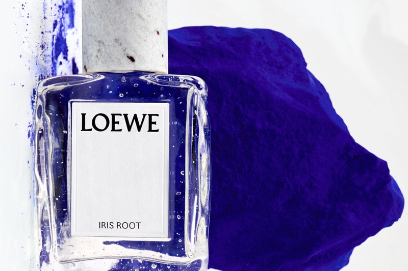 Loewe Perfumes crafted Field Diary Sweet Woodland Rosetopia Smoky Rain Verdant Grove Iris Root Release Info