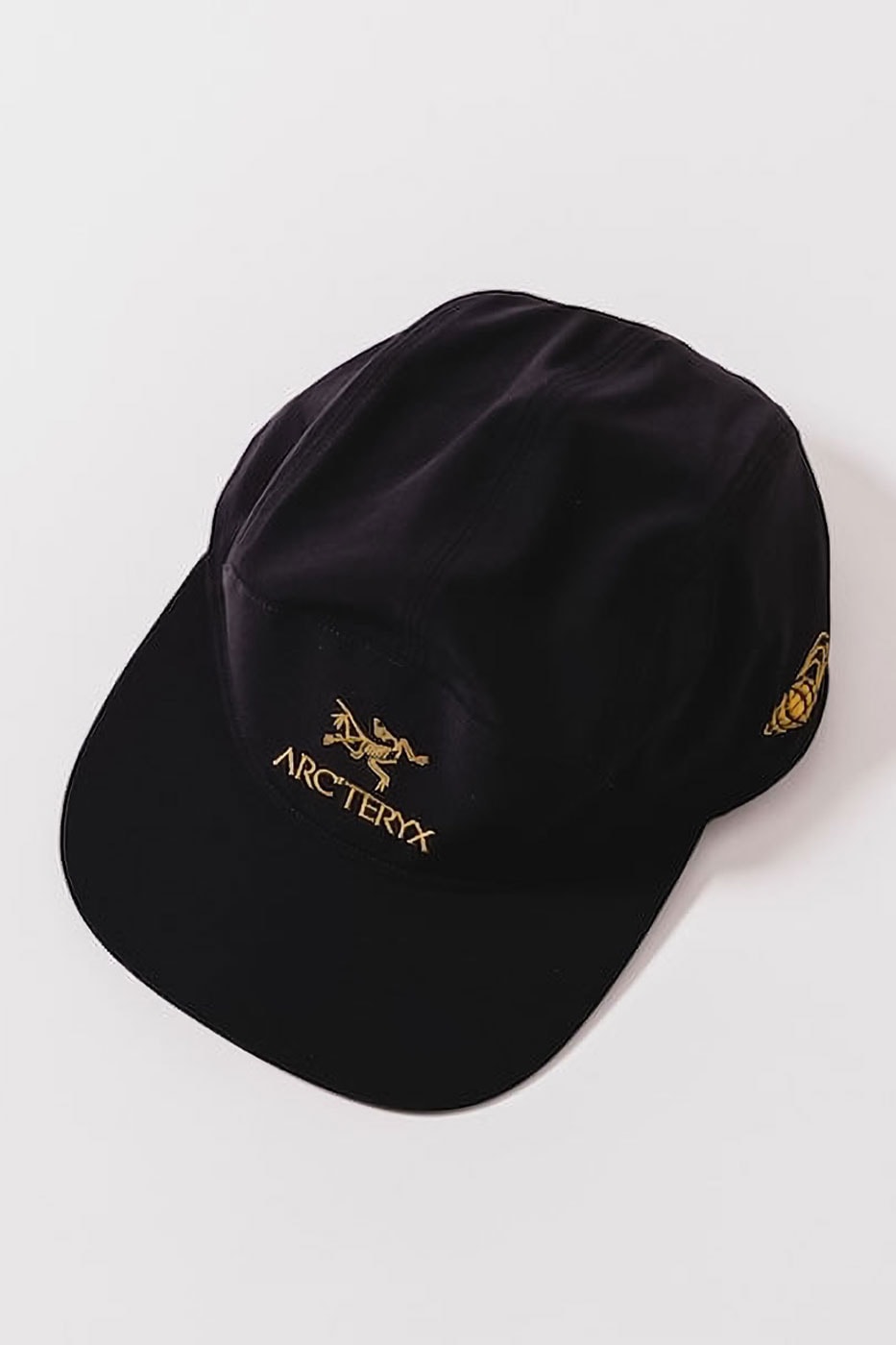ARC'TERYX and BEAMS Celebrate Dual Anniversaries With FW26 "KOYO" Collection
