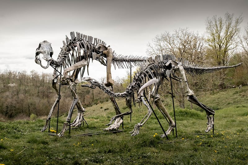 Pharrell Williams' JOOPITER Brings Two Dinosaur Skeletons to Auction Estimated Up to $1.2 Million USD Each