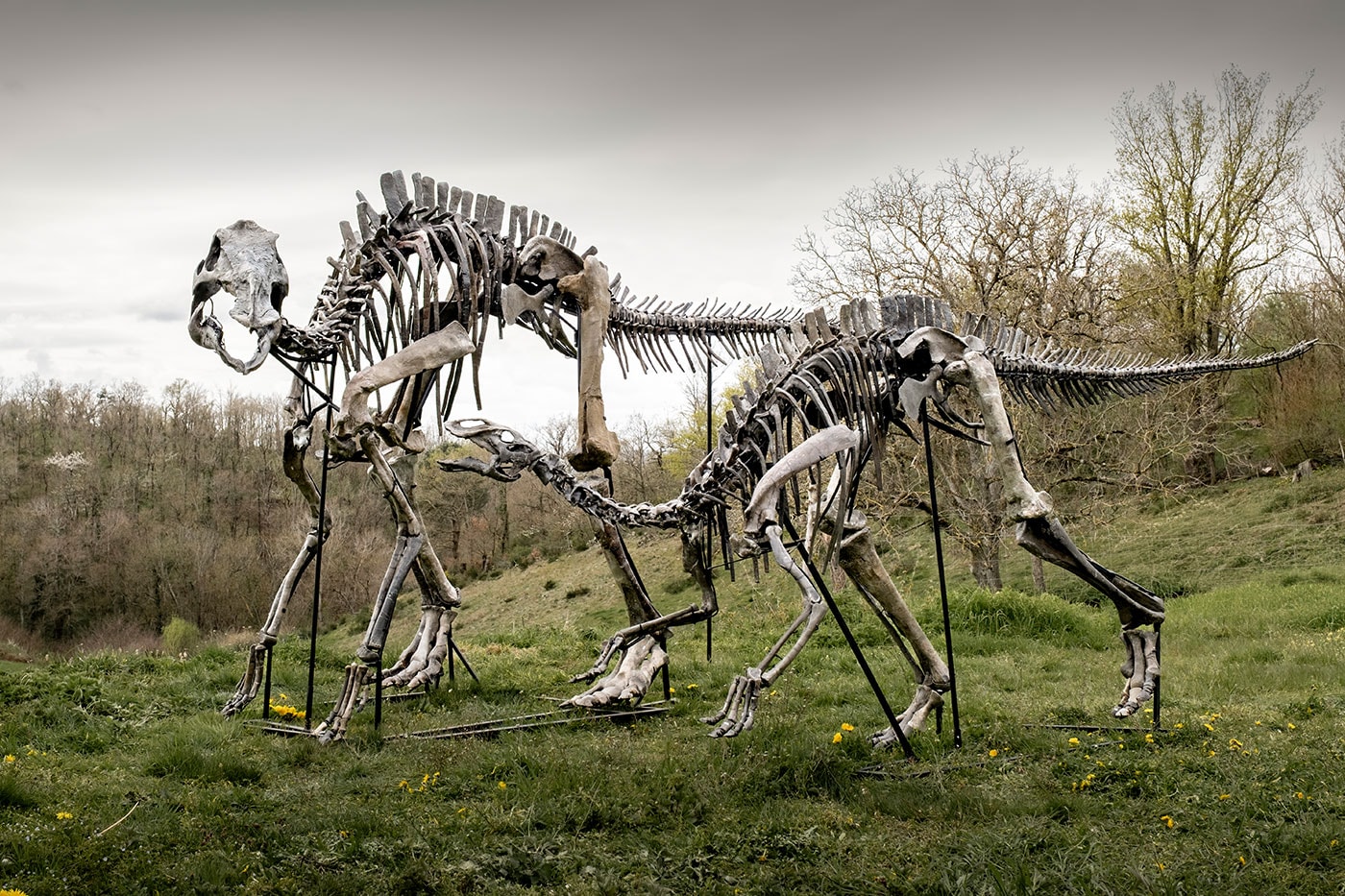 Pharrell Williams' JOOPITER Brings Two Dinosaur Skeletons to Auction Estimated Up to $1.2 Million USD Each