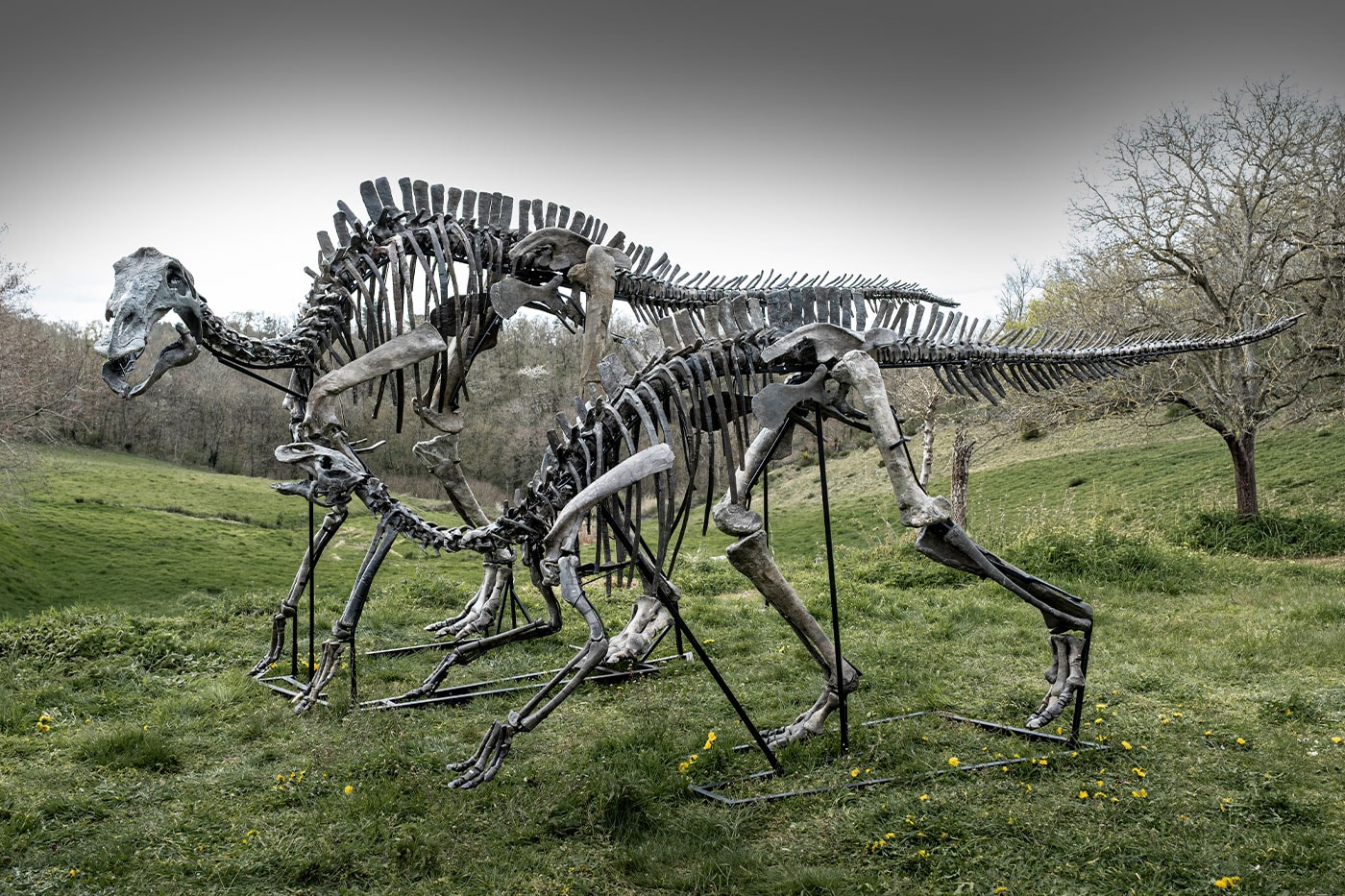 Pharrell Williams' JOOPITER Brings Two Dinosaur Skeletons to Auction Estimated Up to $1.2 Million USD Each
