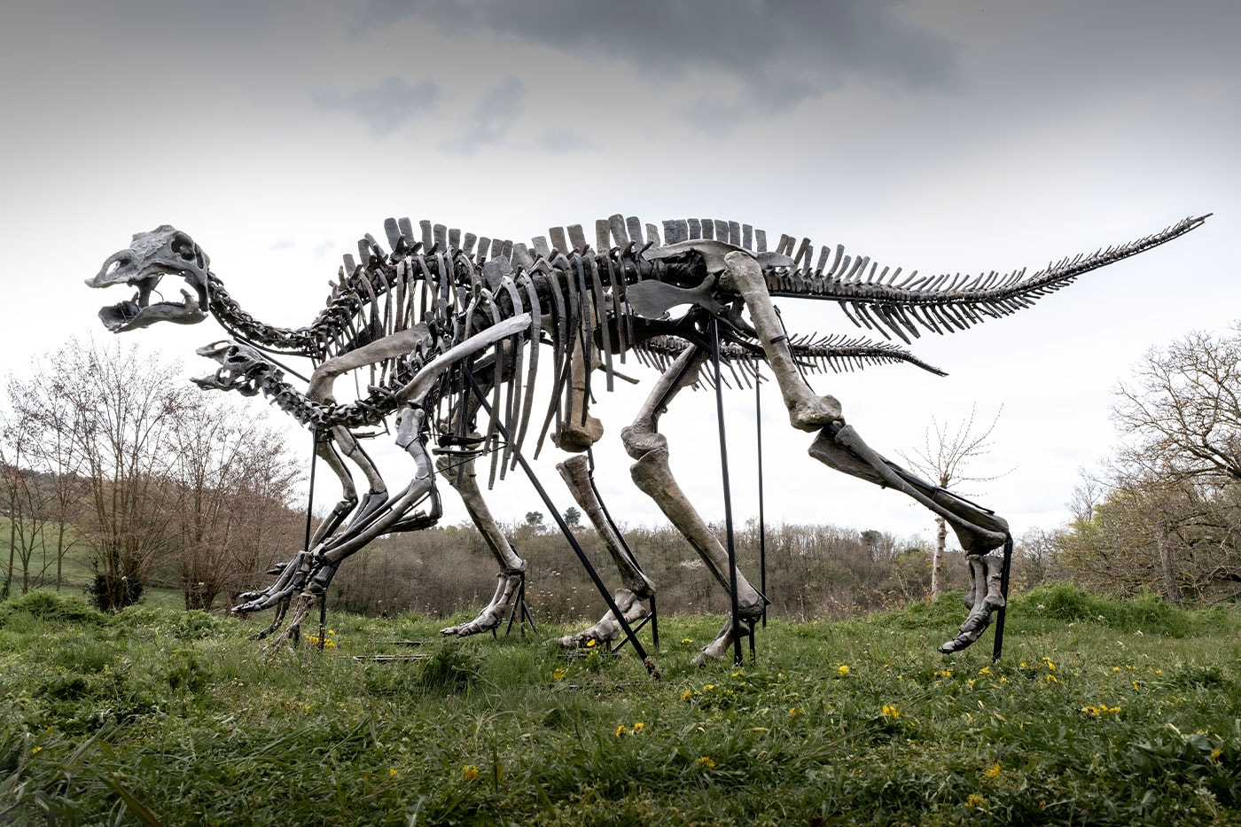 Pharrell Williams' JOOPITER Brings Two Dinosaur Skeletons to Auction Estimated Up to $1.2 Million USD Each