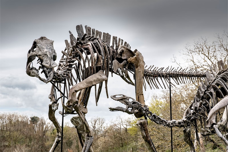 Pharrell Williams' JOOPITER Brings Two Dinosaur Skeletons to Auction Estimated Up to $1.2 Million USD Each