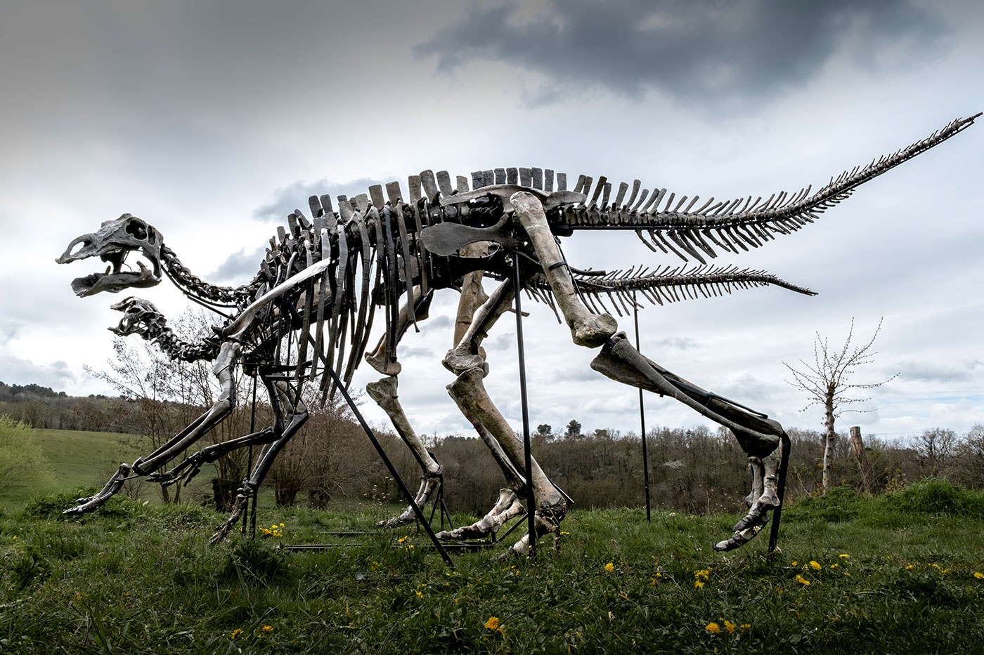 Pharrell Williams' JOOPITER Brings Two Dinosaur Skeletons to Auction Estimated Up to $1.2 Million USD Each
