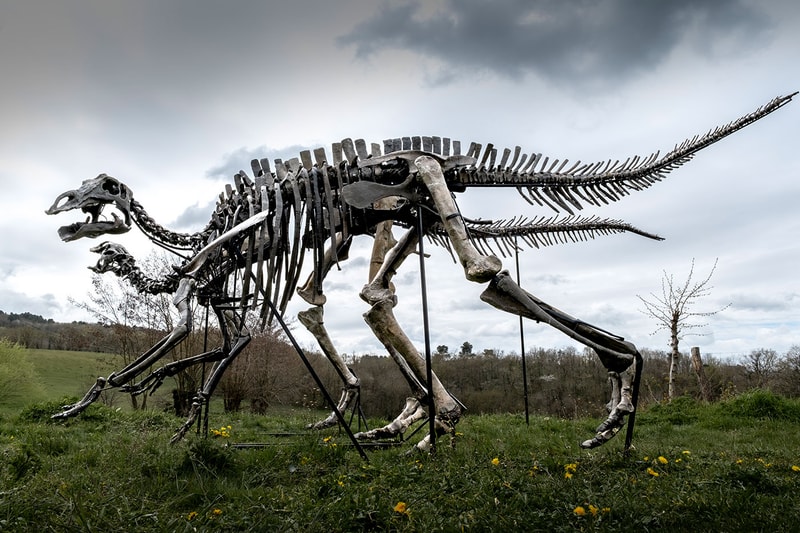 Pharrell Williams' JOOPITER Brings Two Dinosaur Skeletons to Auction Estimated Up to $1.2 Million USD Each