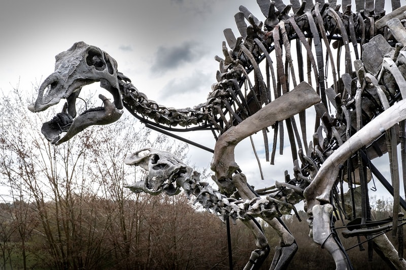 Pharrell Williams' JOOPITER Brings Two Dinosaur Skeletons to Auction Estimated Up to $1.2 Million USD Each