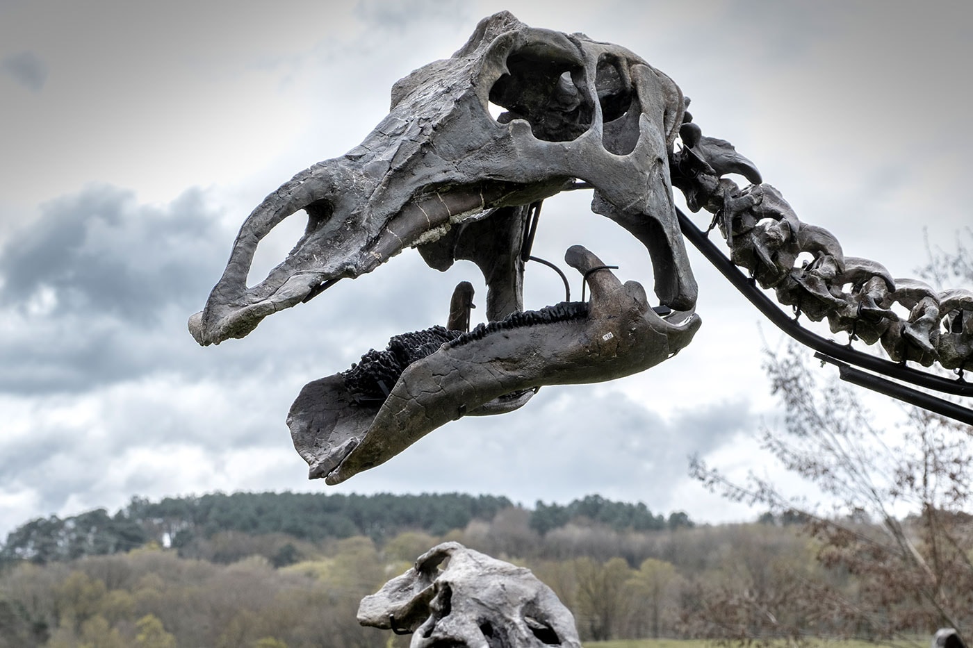 Pharrell Williams' JOOPITER Brings Two Dinosaur Skeletons to Auction Estimated Up to $1.2 Million USD Each