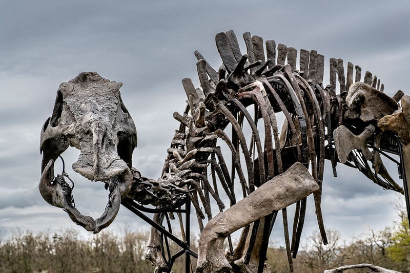 Pharrell Williams' JOOPITER Brings Two Dinosaur Skeletons to Auction Estimated Up to $1.2 Million USD Each