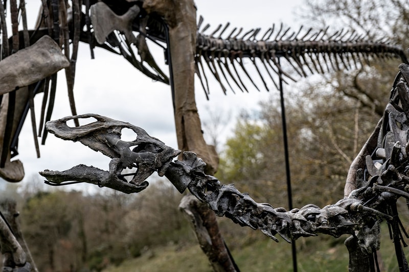 Pharrell Williams' JOOPITER Brings Two Dinosaur Skeletons to Auction Estimated Up to $1.2 Million USD Each