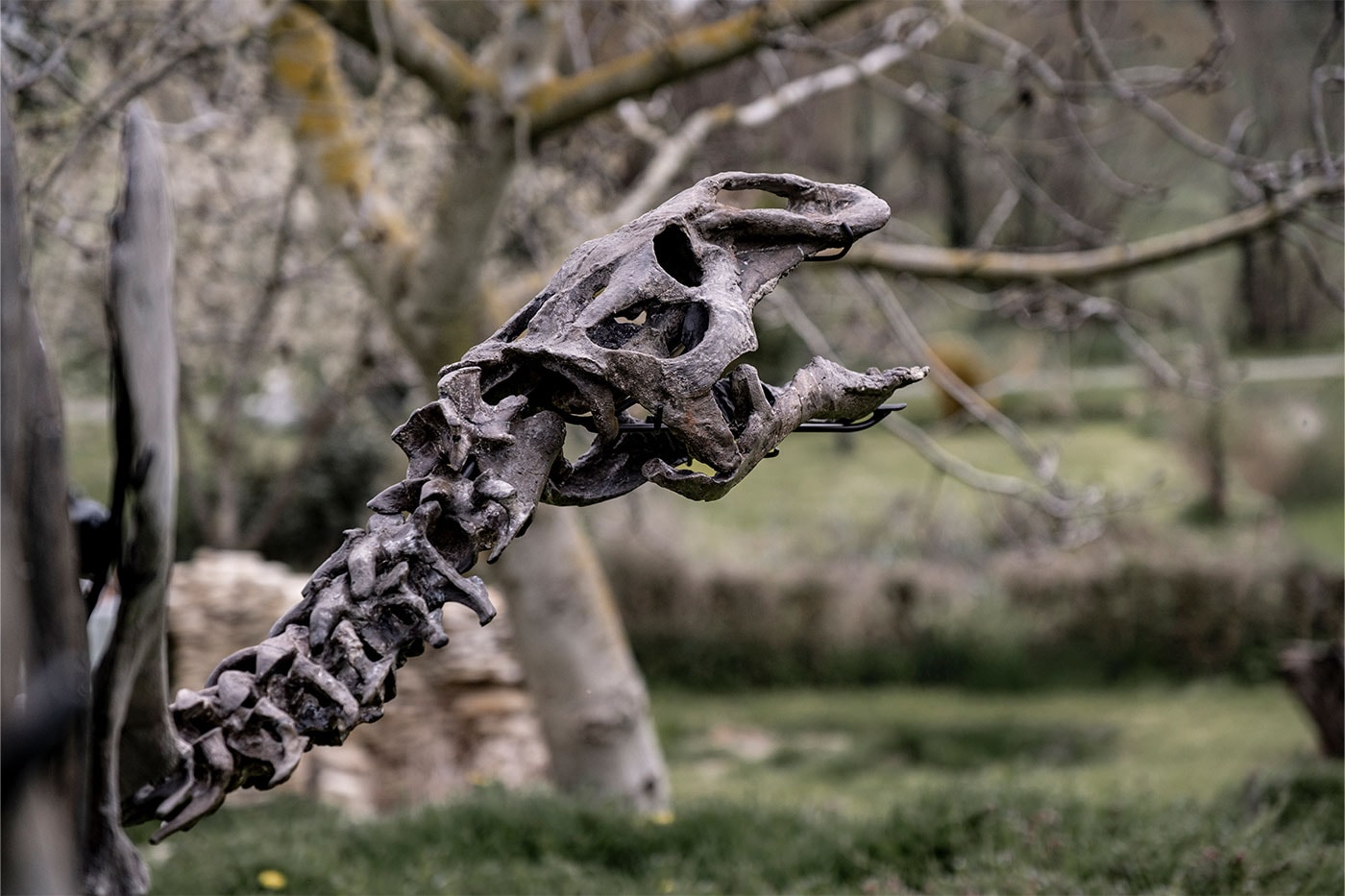 Pharrell Williams' JOOPITER Brings Two Dinosaur Skeletons to Auction Estimated Up to $1.2 Million USD Each