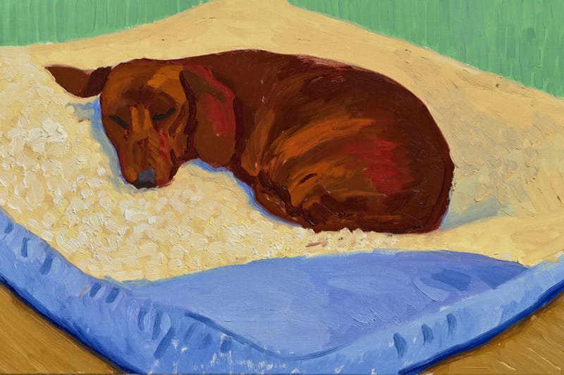 Rare David Hockney Dog Painting Goes for $3 Million USD at Christie's