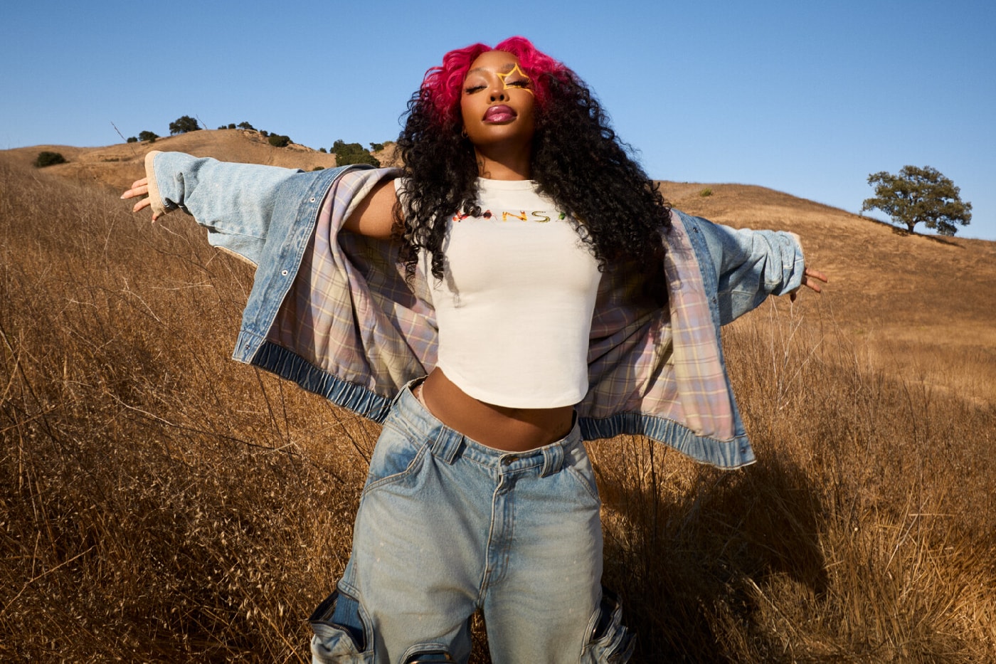 Vans SZA Collaboration Collection Drop 1 Campaign Release Info  VANSZA Knu Skool Mule Authentic Kickdown