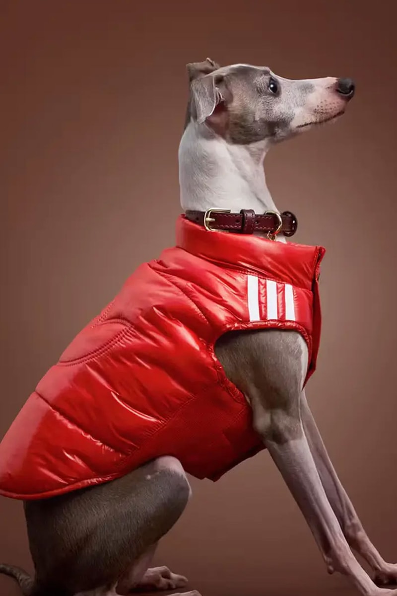adidas Originals Debuts Winter 2026 Pet Collection
