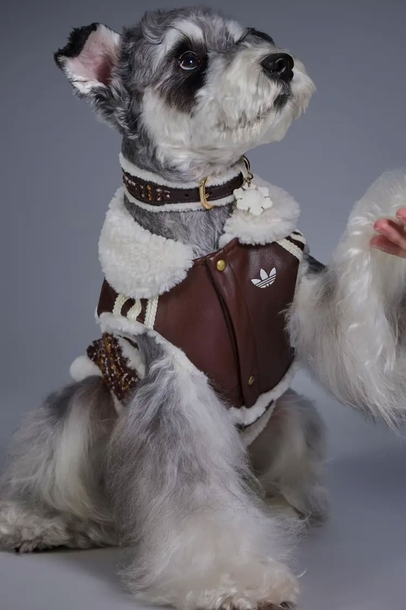 adidas Originals Debuts Winter 2026 Pet Collection