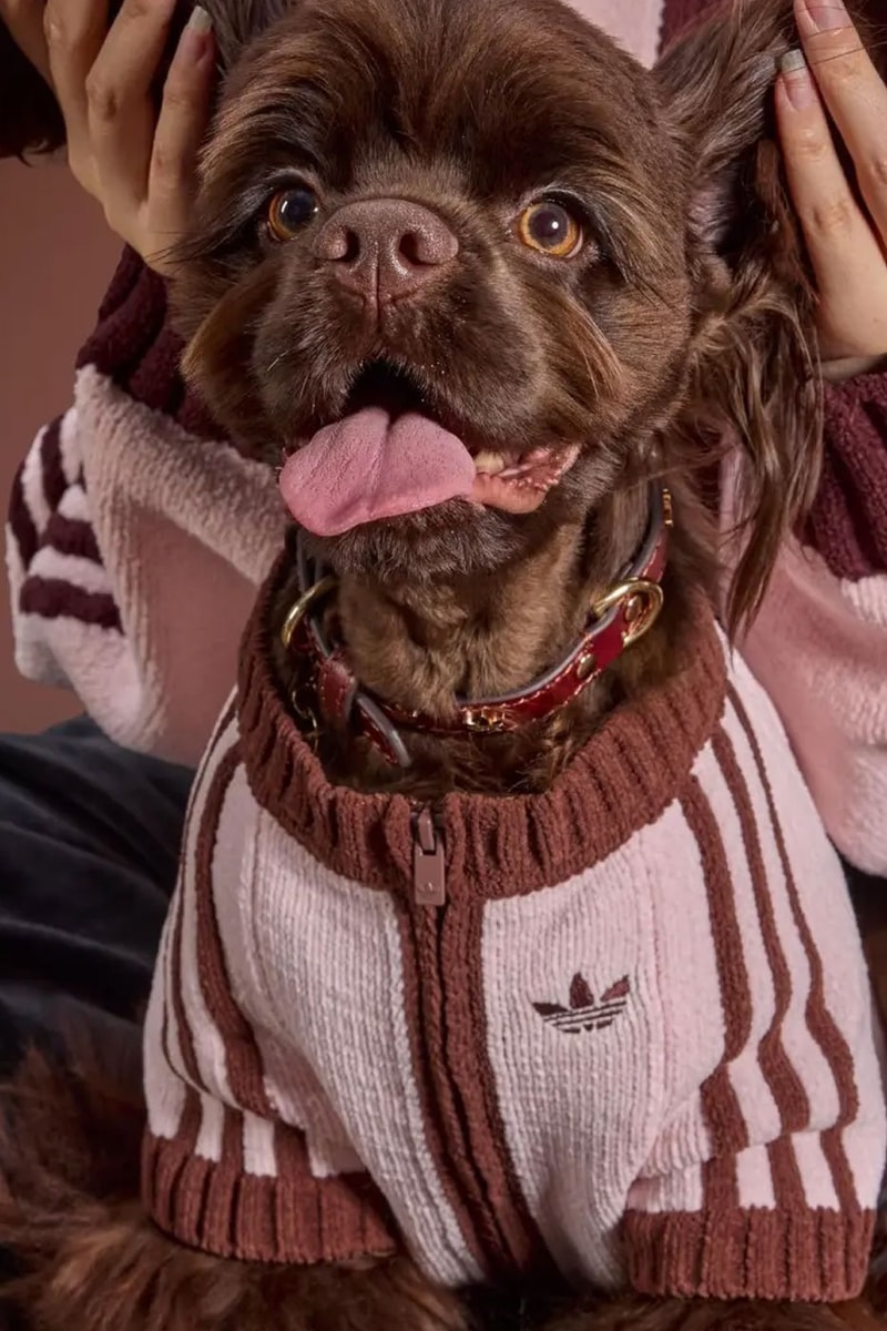 adidas Originals Debuts Winter 2026 Pet Collection