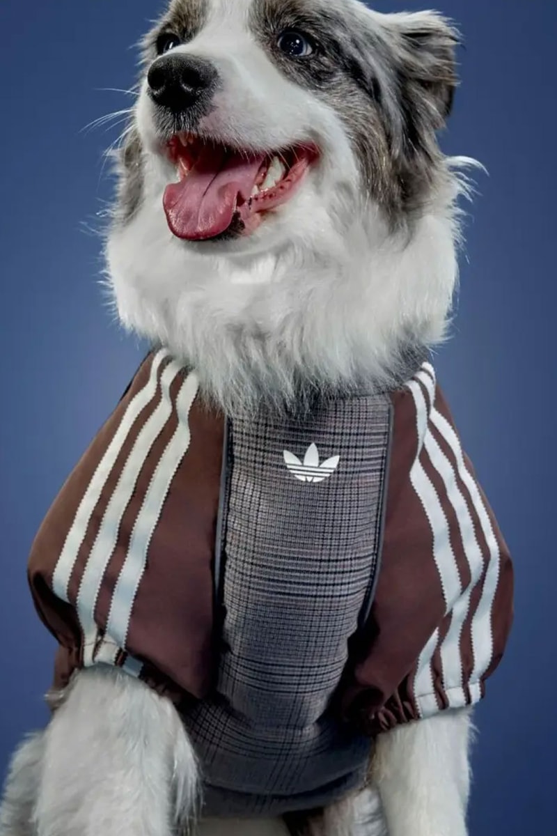 adidas Originals Debuts Winter 2026 Pet Collection