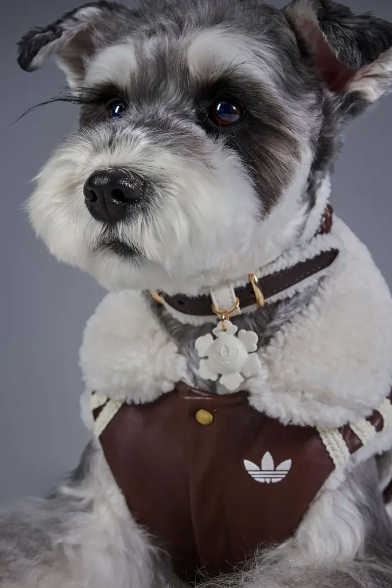 adidas Originals Debuts Winter 2026 Pet Collection