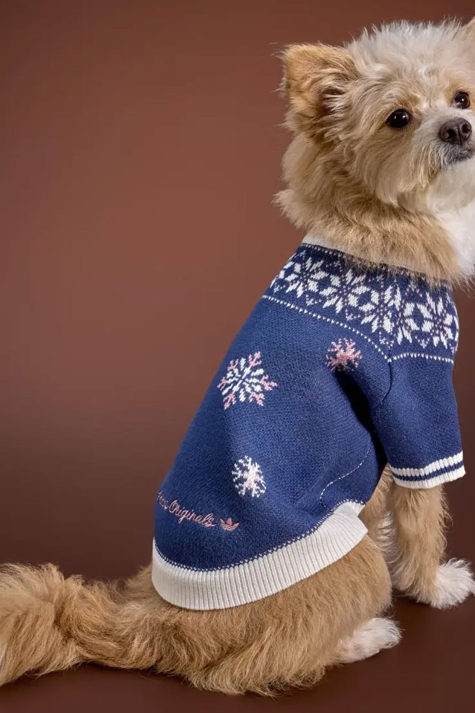 adidas Originals Debuts Winter 2026 Pet Collection