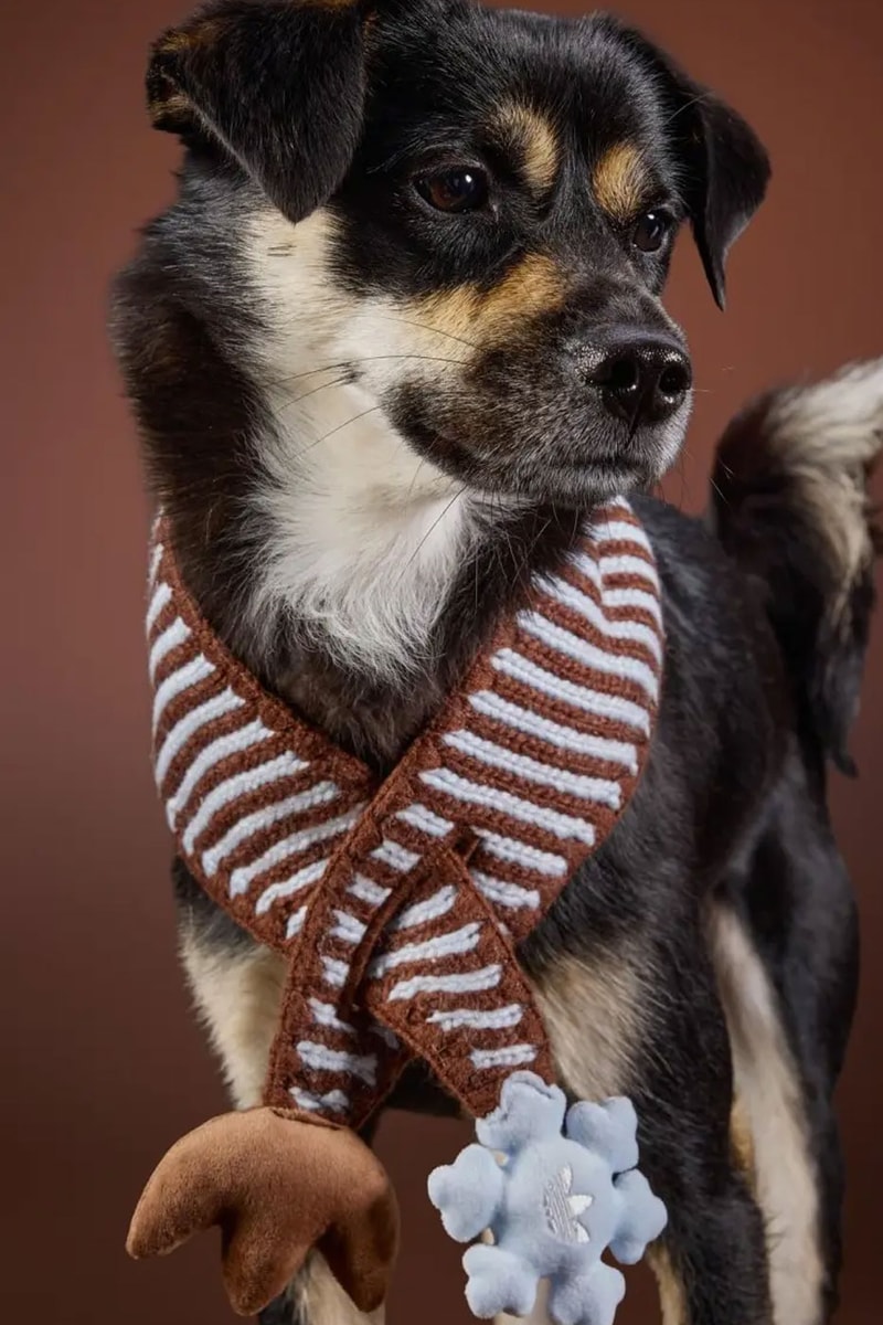 adidas Originals Debuts Winter 2026 Pet Collection