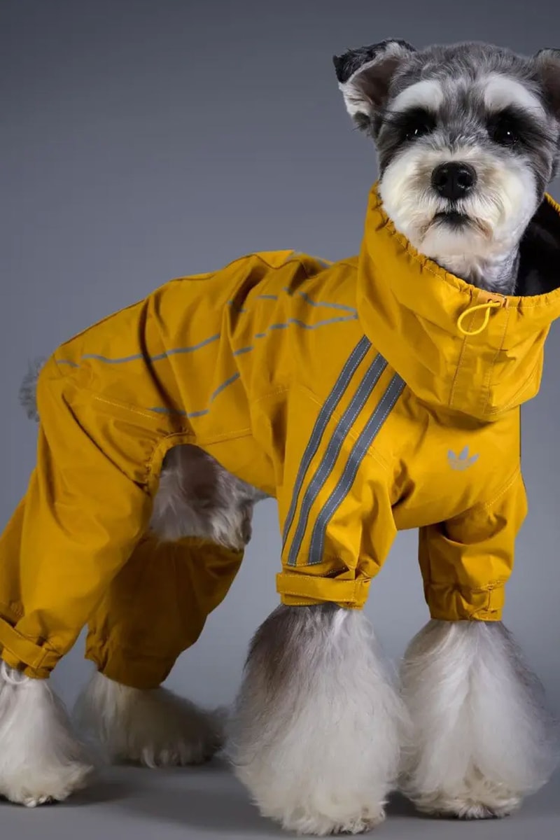 adidas Originals Debuts Winter 2026 Pet Collection