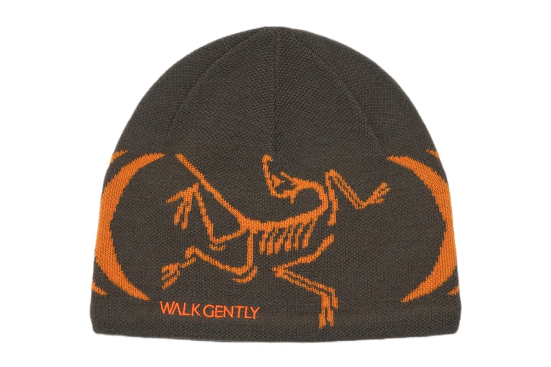 Arcteryx Walk Gently Salish Winter dover street market DSM London Launch Release Info