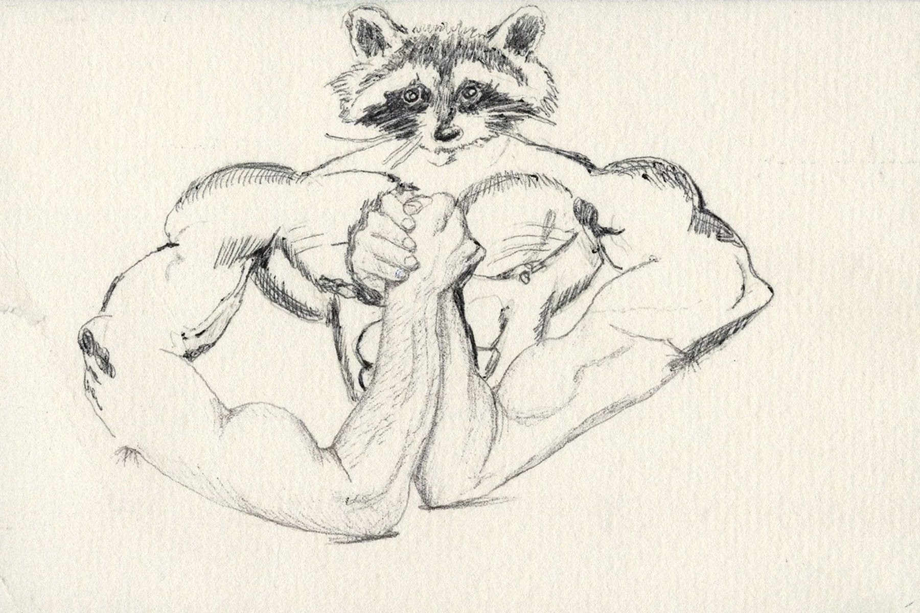 Jim Joe and Lewy Put Up Nearly 200 Hand-Drawn Postcards in NYC Show