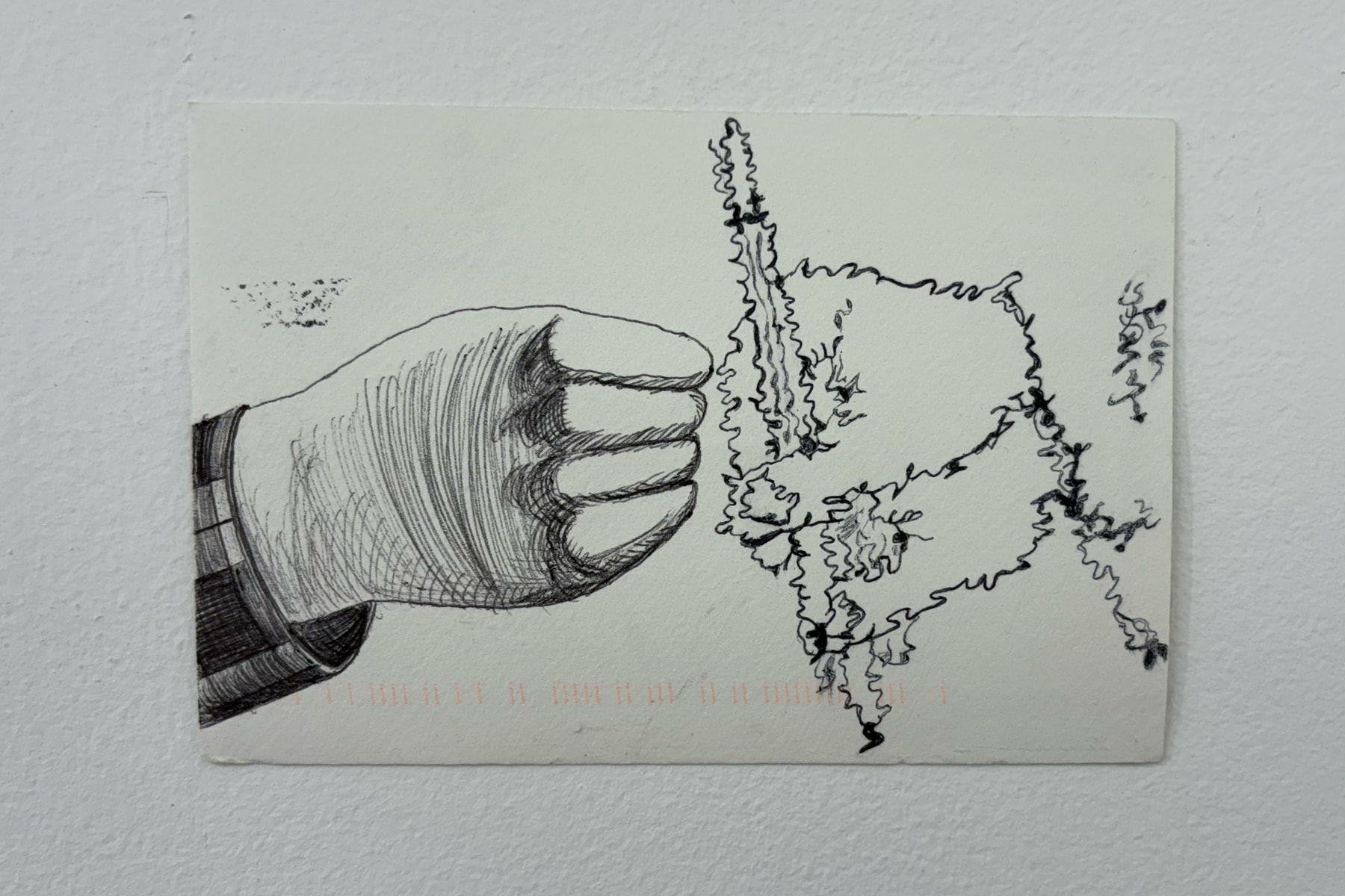 JIM JOE  LEWY Letters to the Editor Postcard Exhibition Market Gallery NYC Art Artworks