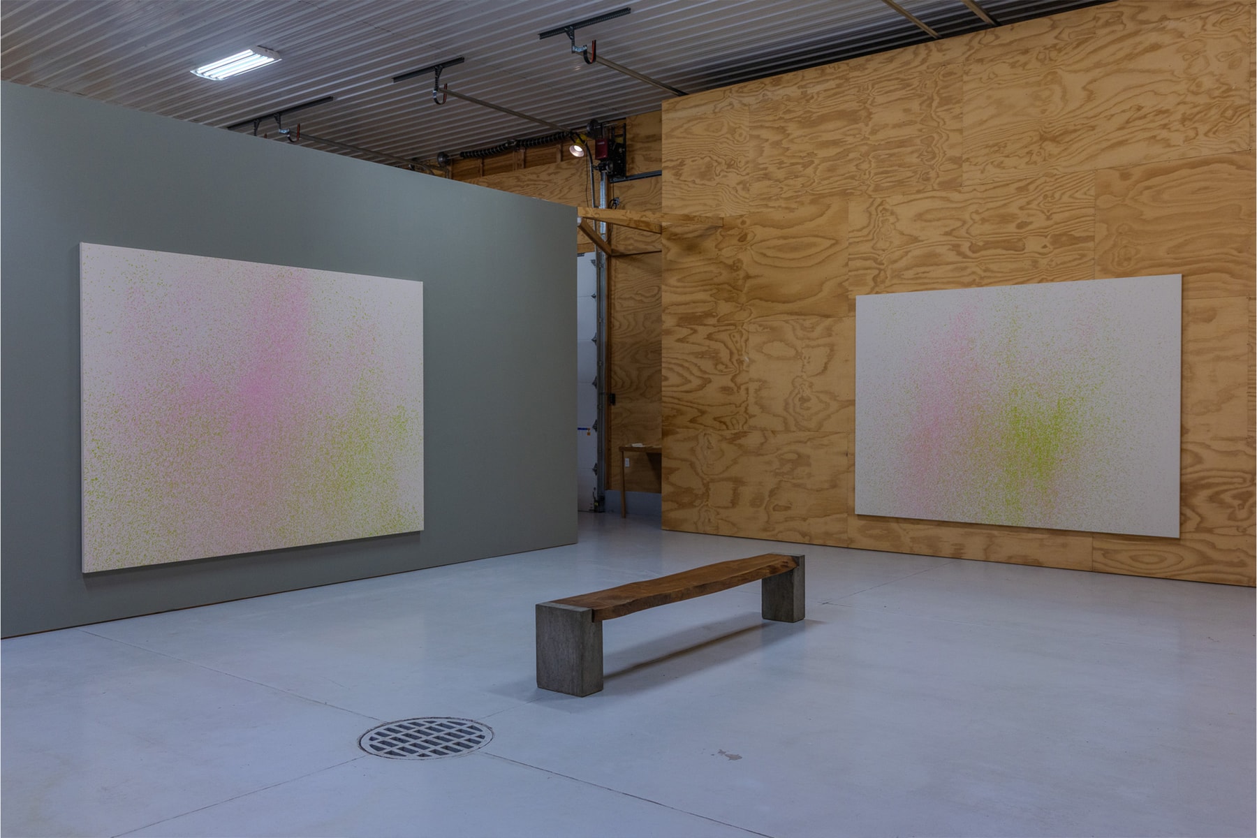 Lucien Smith Final Exhibition Tripoli Gallery New York Delay of Game Rain Paintings