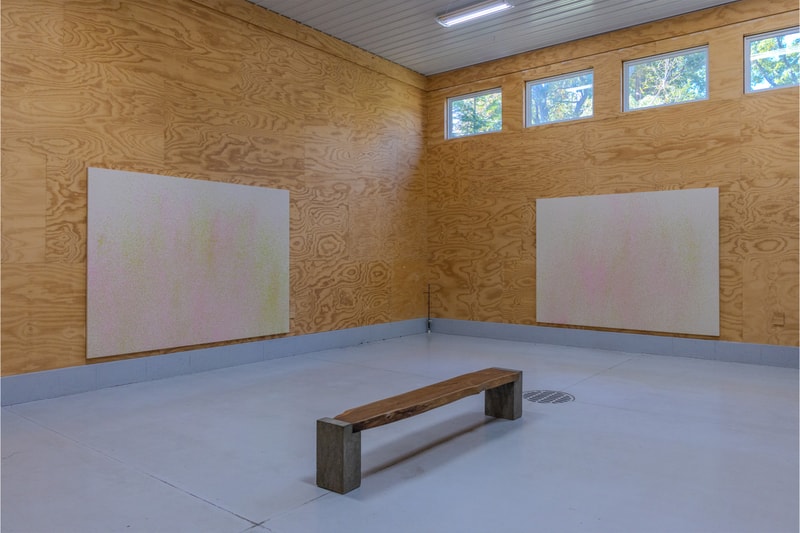 Lucien Smith Final Exhibition Tripoli Gallery New York Delay of Game Rain Paintings