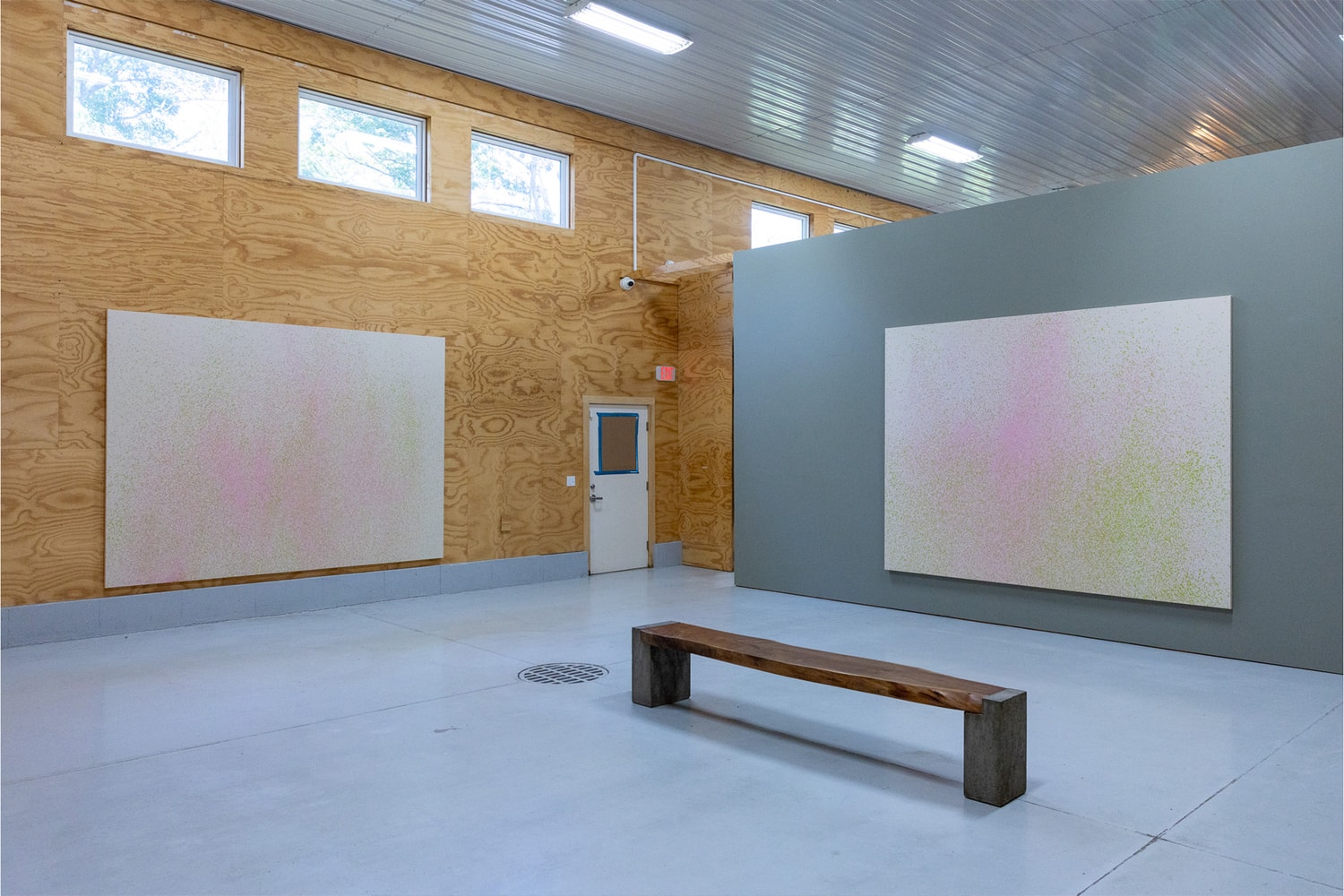 Lucien Smith Final Exhibition Tripoli Gallery New York Delay of Game Rain Paintings