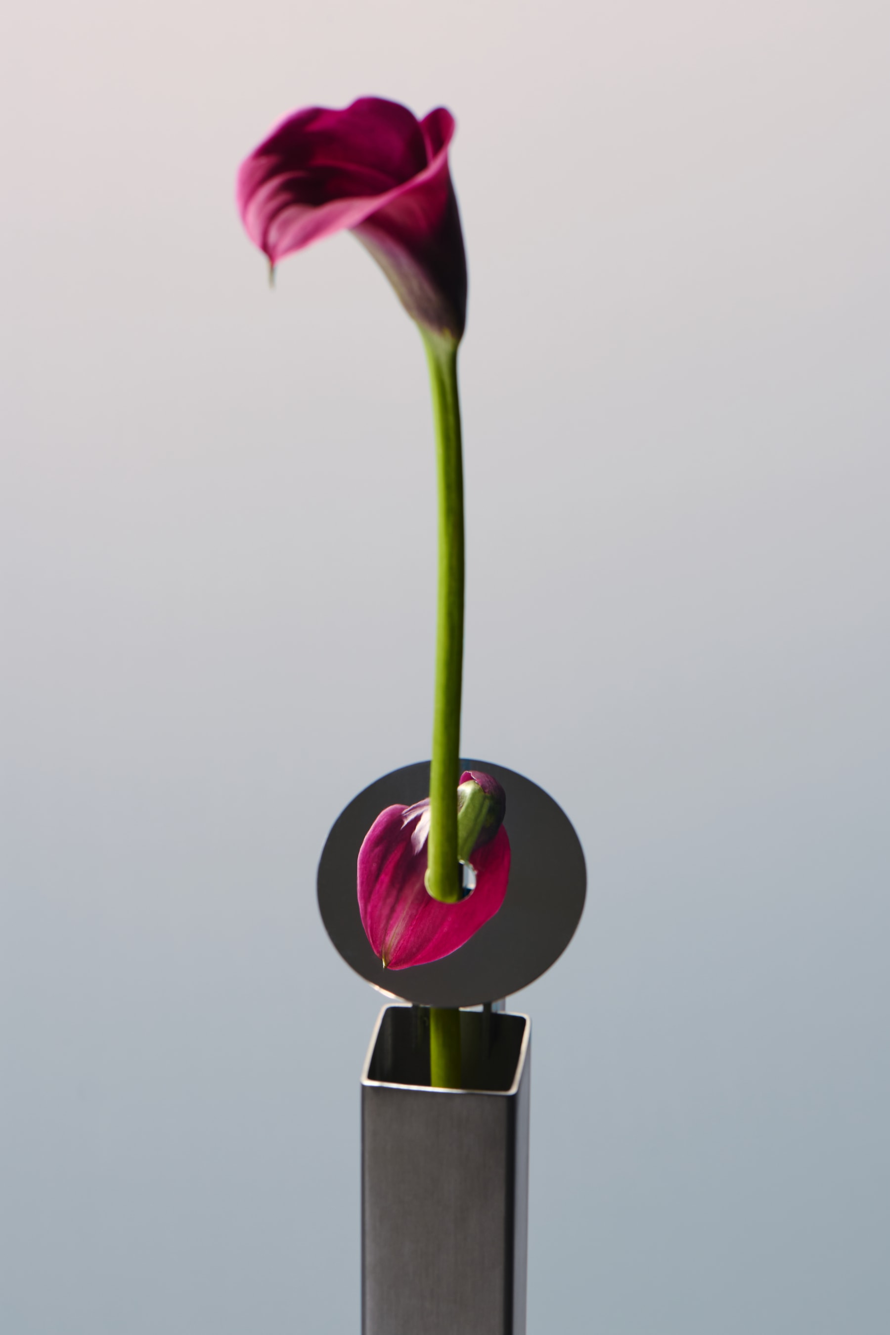 REdDUO STEM VASE Info Design Objects Homeware